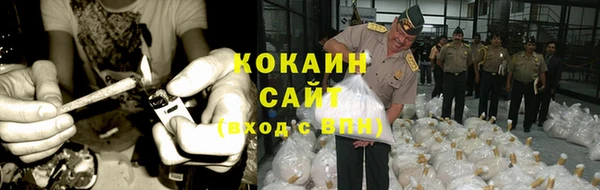 МДПВ Нея