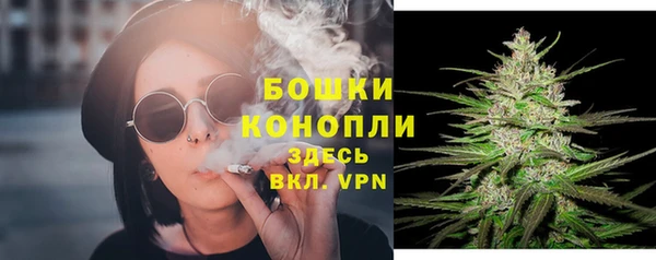 МДПВ Нея