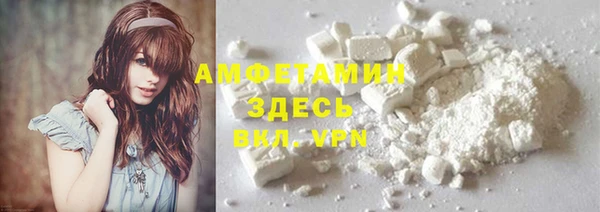 МДПВ Нея