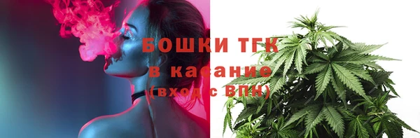 сатива Нефтегорск
