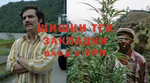 сатива Нефтегорск