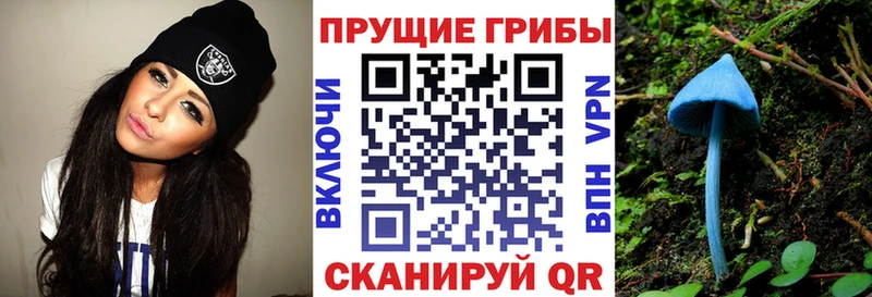 цены наркотик  Нахабино  Псилоцибиновые грибы GOLDEN TEACHER 